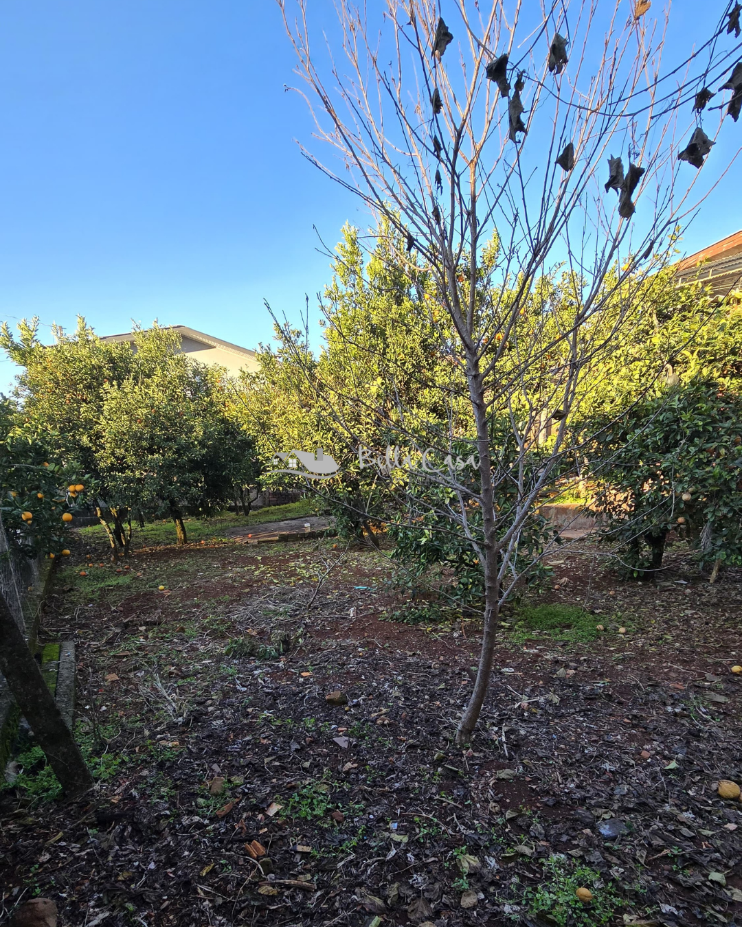 Bella Casa Imobiliário